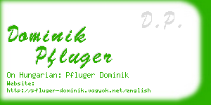 dominik pfluger business card